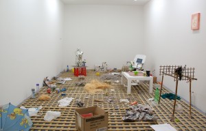Christopher L G Hill, installation, Gertrude Contemporary, 2013